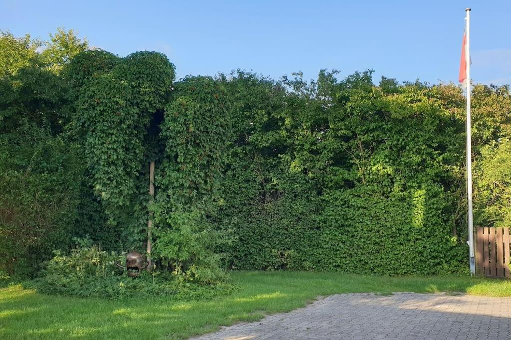 Ferienhaus A Fraenkisch Haeusla, Ganze Doppelhaushaelfte